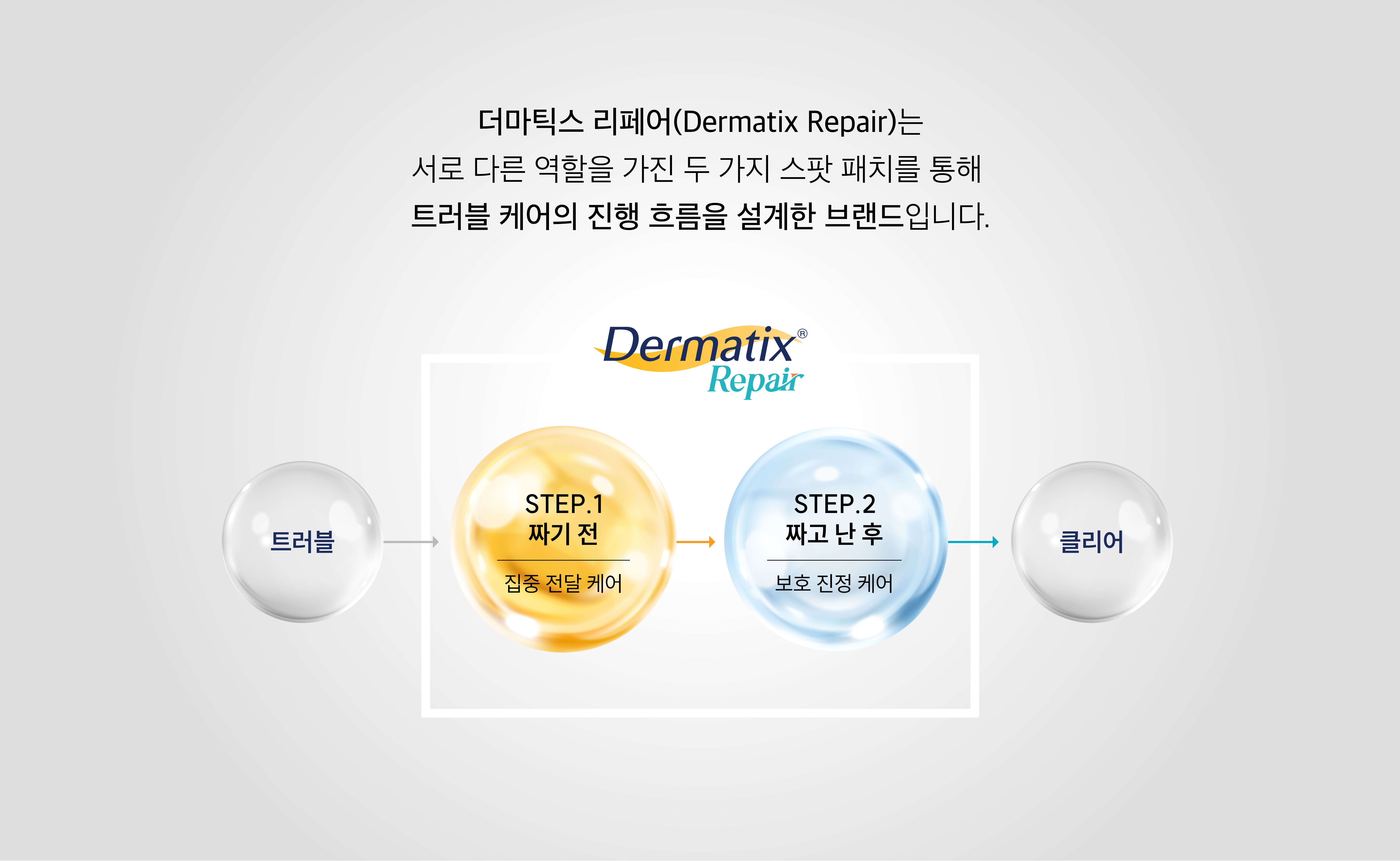 브랜드 배너 이미지