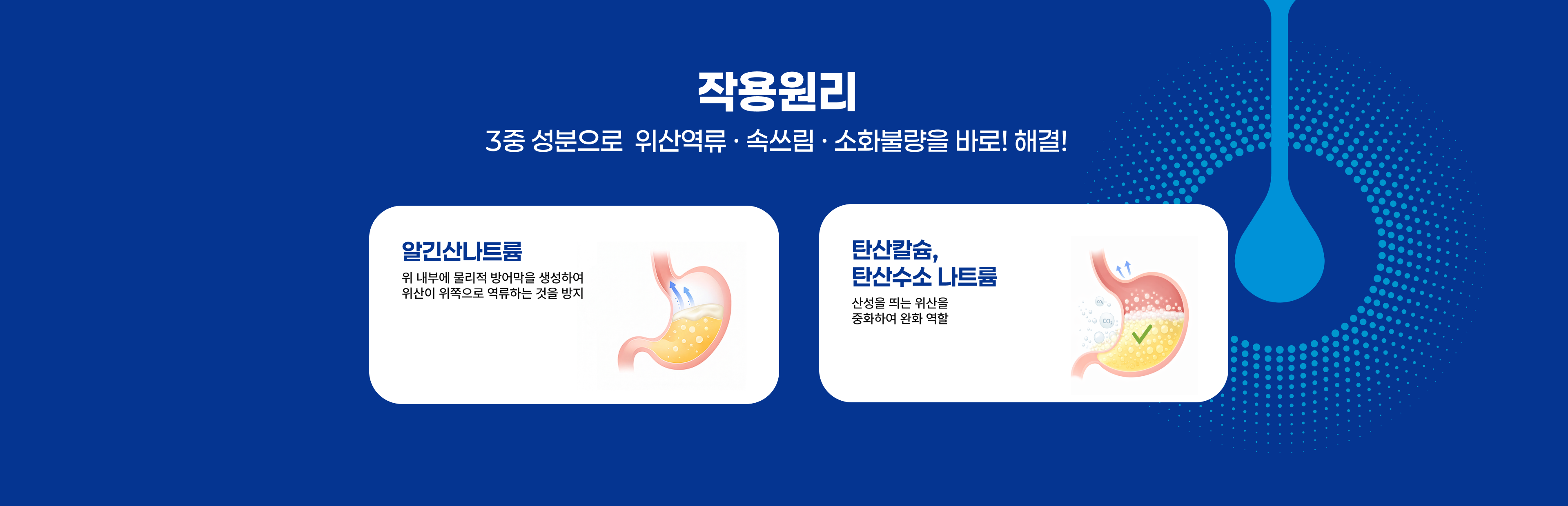 브랜드 배너 이미지